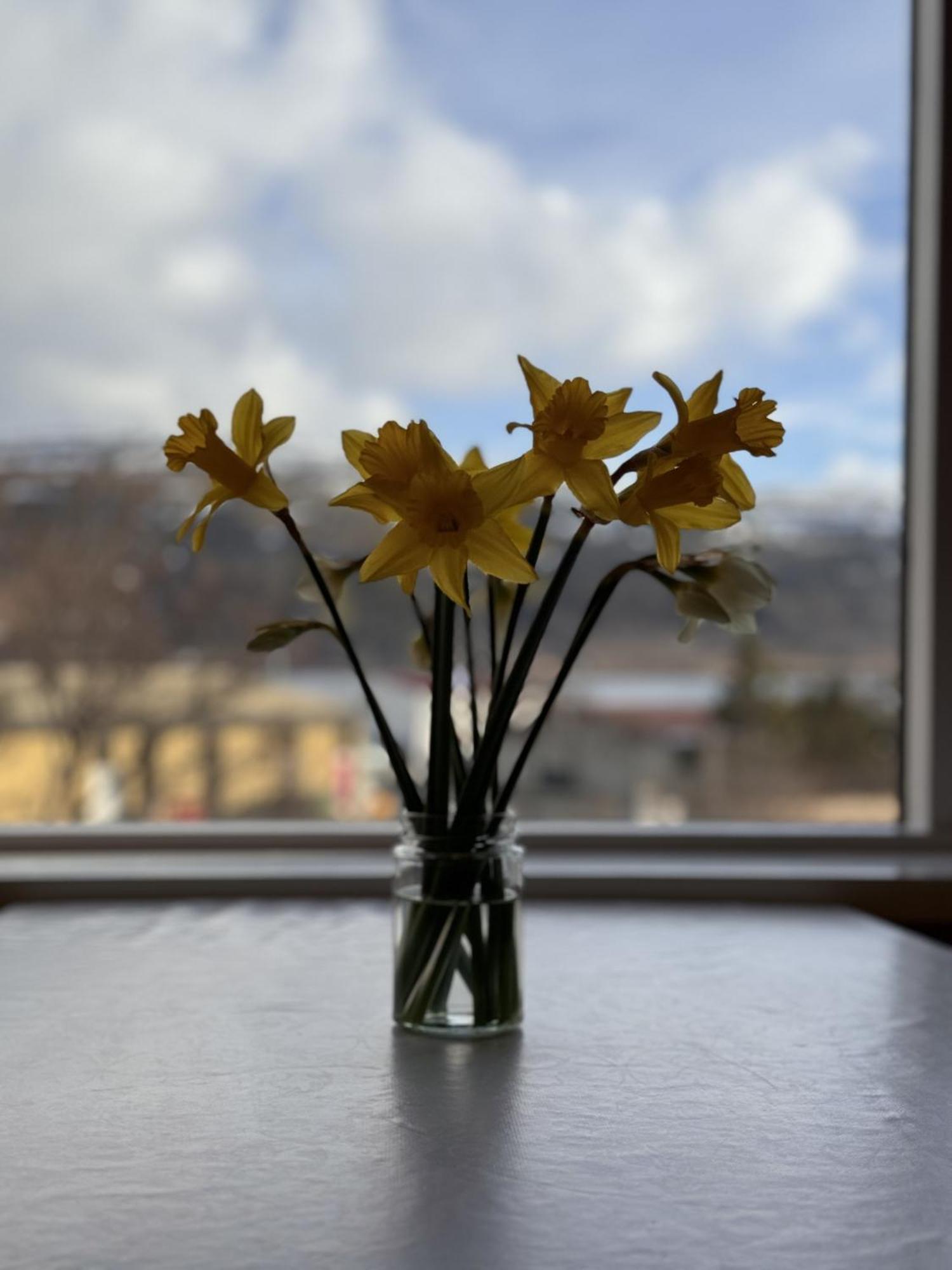 Guesthouse Talknafjoerthur Buitenkant foto